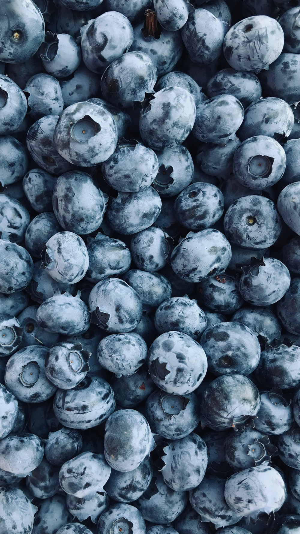 Blueberry