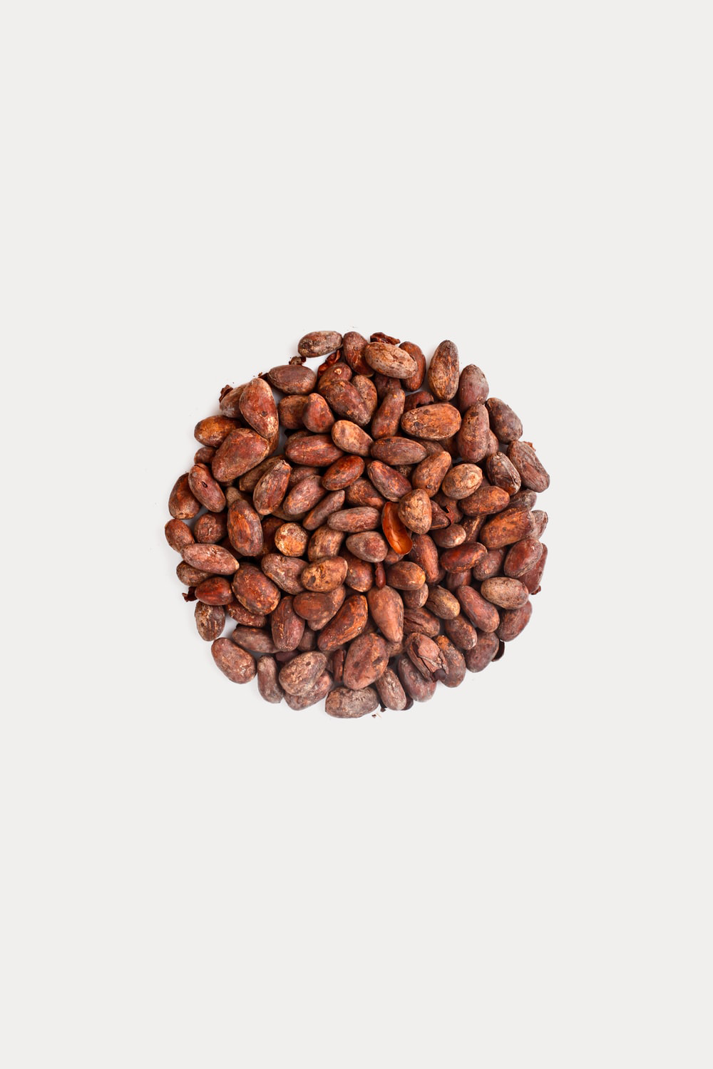 Cocoa