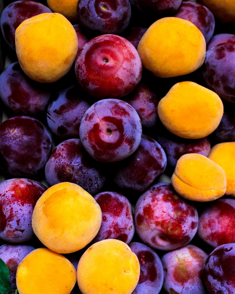 Plum