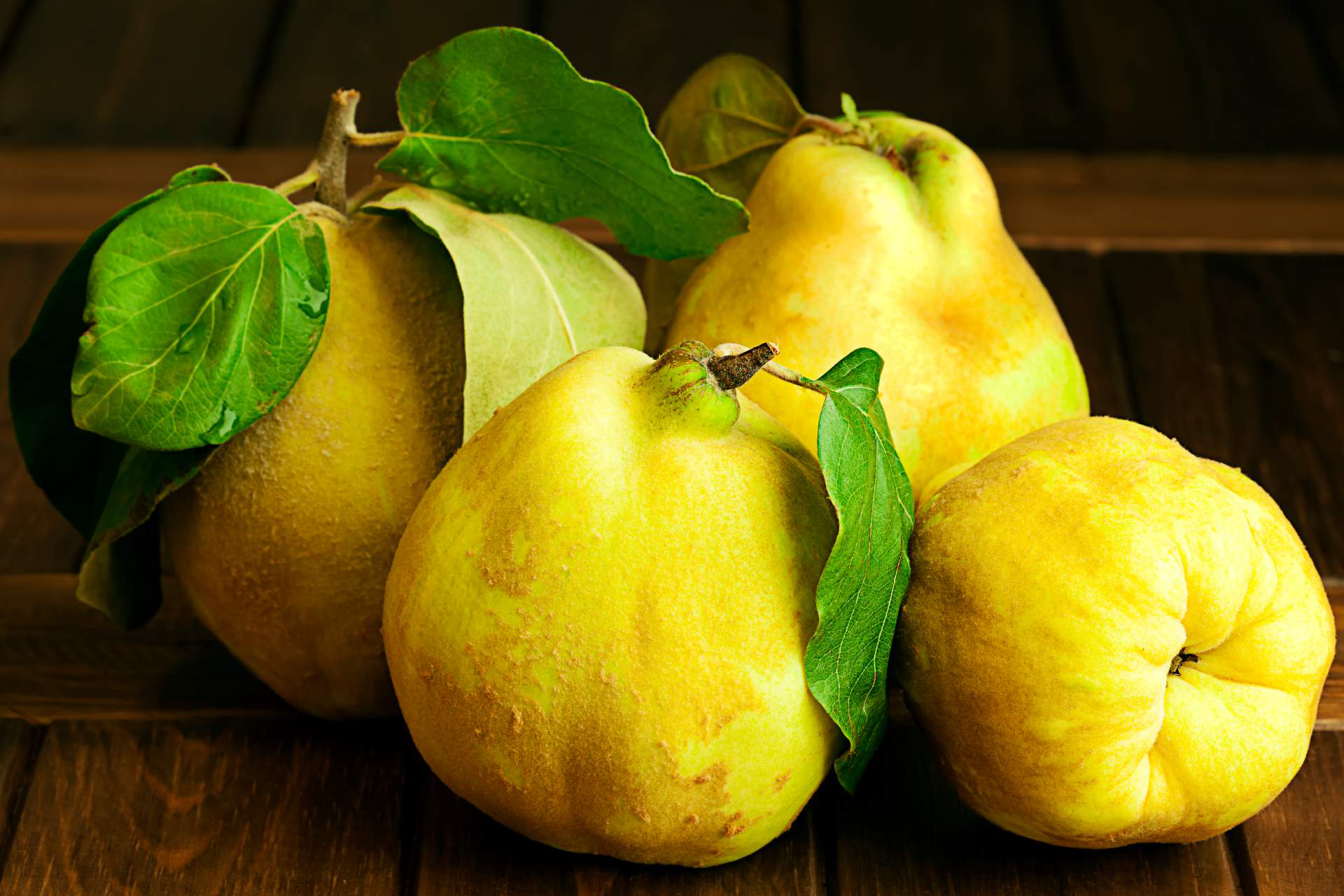 Quince