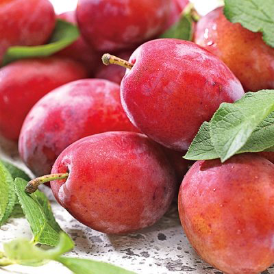 Red Plum