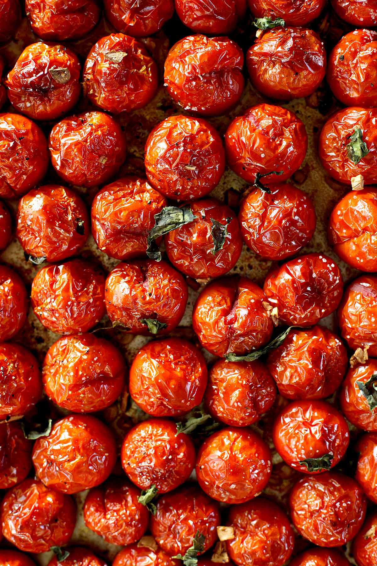 Roasted Tomato